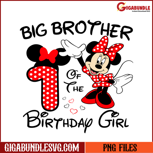 1st Big Brother of Birthday Girl 