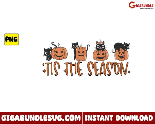 Tis The Season Png Black Cat Pumpkin Retro Halloween - Instant Download