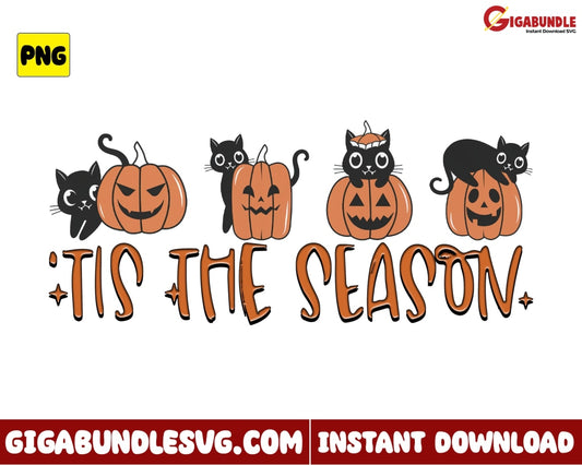 Tis The Season Png Pumpkin And Cat Black Retro Halloween - Instant Download