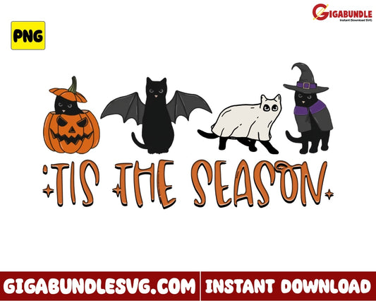 Tis The Season Png Pumpkin Cat Ghost Witch Retro Halloween - Instant Download